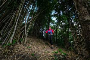 BIB: 
                            <button type="button" onclick="openModal(19395653)" class="btn btn-primary btn-sm float-right btn-popup" data-toggle="modal" data-target=".modal-high-quality">
                        <i class="fas fa-shopping-cart"></i> Add to Cart
                    </button>
                                            <button type="button" onclick="isThisMe(19395653, true)" class="btn btn-success btn-sm float-right btn-popup btn-isme hidden" data-toggle="tooltip" data-placement="bottom" title="นี่คือรูปของคุณใช่ไหม คลิกที่นี่เพื่อเอาเข้าอัลบั้ม">
                        <i class="fas fa-plus"></i> Add to album
                    </button>
                    <button type="button" onclick="isThisMe(19395653, false)" class="btn btn-warning btn-sm float-right btn-popup btn-isnotme hidden">
                        <i class="fas fa-ban"></i> Remove from album
                    </button>